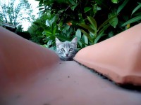 /album/galleria-foto-homepage/pht-3308-jpg1/