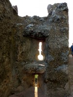 /album/galleria-foto-homepage/pht-3309-jpg/