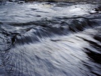 /album/galleria-foto-homepage/pht-3314-jpg/