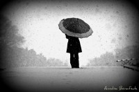 /album/galleria-foto-homepage/a131689-1623014666682-5813839-o-jpg/